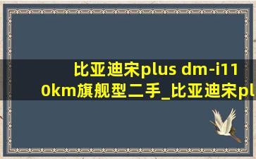 比亚迪宋plus dm-i110km旗舰型二手_比亚迪宋plus dmi110km二手